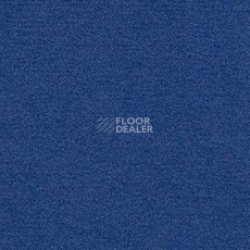 Ковролин Radici Nexus Royal 8264 фото 1 | FLOORDEALER